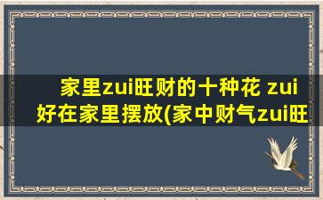 家里zui旺财的十种花 zui好在家里摆放(家中财气zui旺十种花，让家居生机盎然)